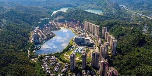 鸡东爆料真实情况最新消息,最新事件真相揭秘