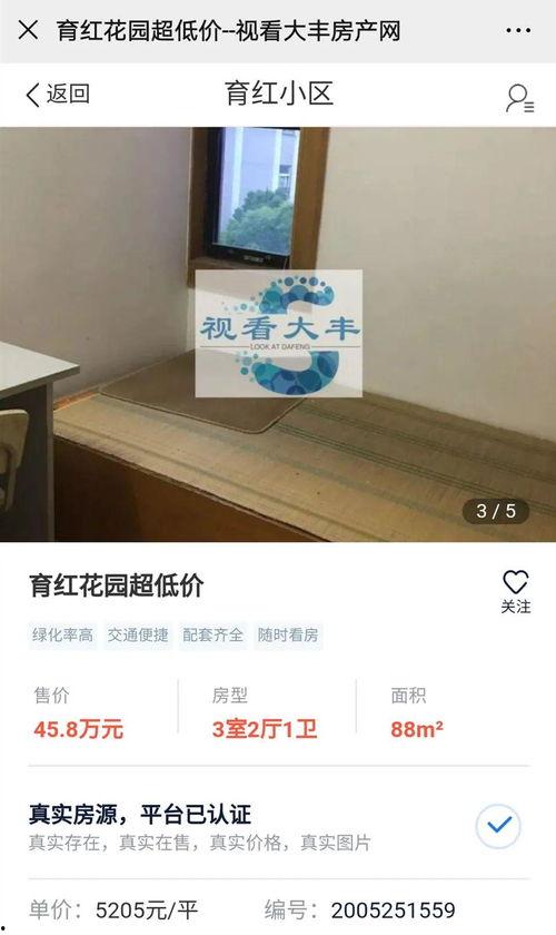 大丰房产爆料最新消息,揭秘神秘项目，房价走势再引关注！